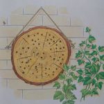 Hôtel-à-insectes