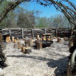 Canape-forestier