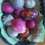 IMG-20240322-WA0002
